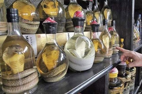 Что привезти из Вьетнама в Россию - MUINE EXPRESS